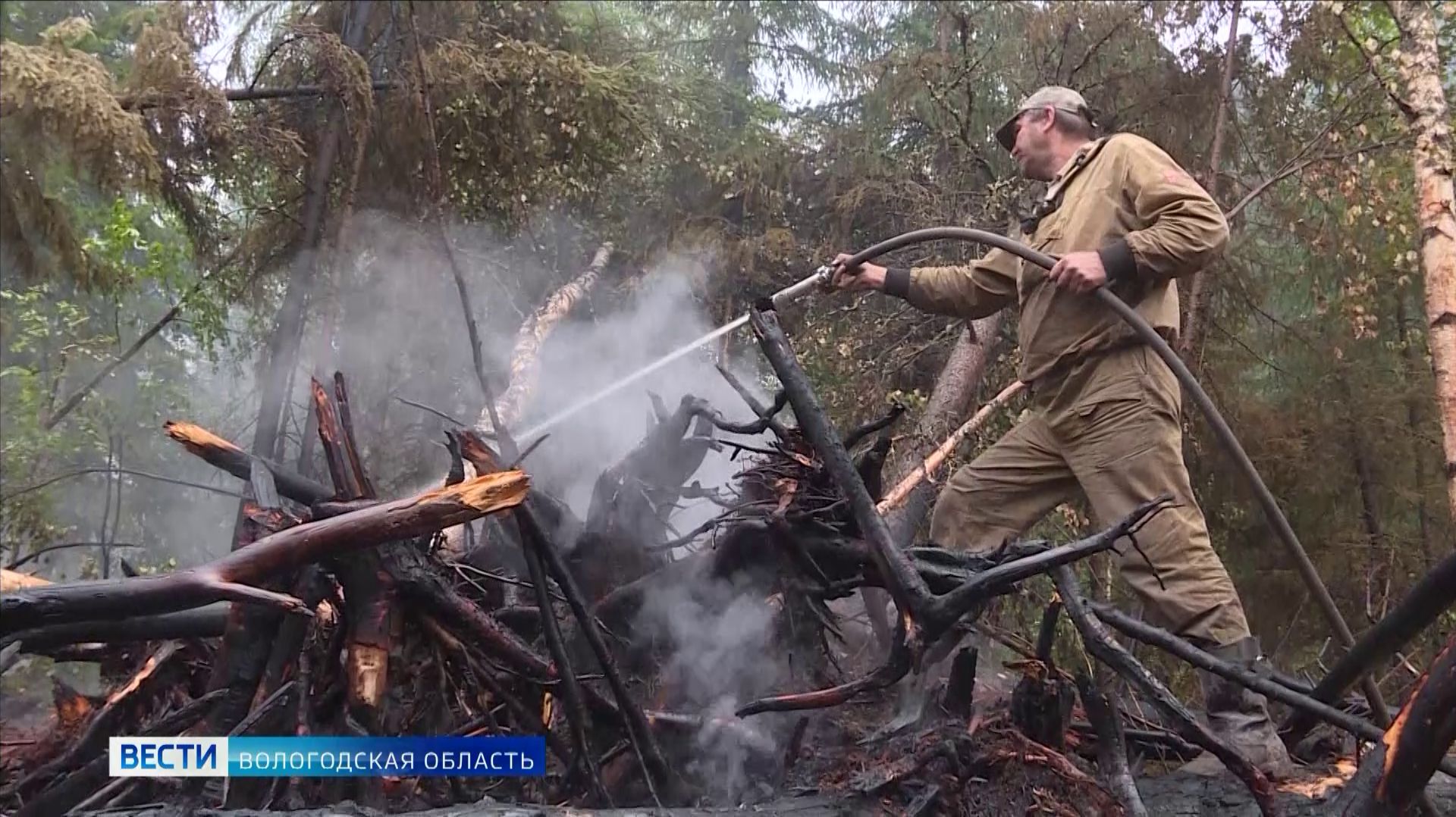 Свыше 30 пожаров зарегистрировано в Вологодской области за последние 2 недели