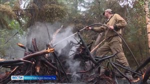 Свыше 30 пожаров зарегистрировано в Вологодской области за последние 2 недели