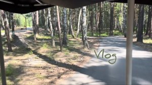 Vlog/ Прогулка в экопарке / Собираем малину