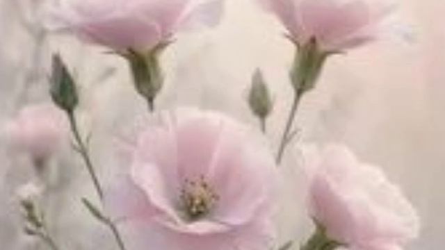 М.М.5) Молимся за Россию. Любовь учителя.