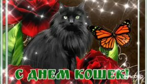 8 АВГУСТА – ВСЕМИРНЫЙ ДЕНЬ КОШЕК. ПОЗДРАВЛЕНИЕ ВСЕМ ХОЗЯЕВАМ ПУШИСТИКОВ