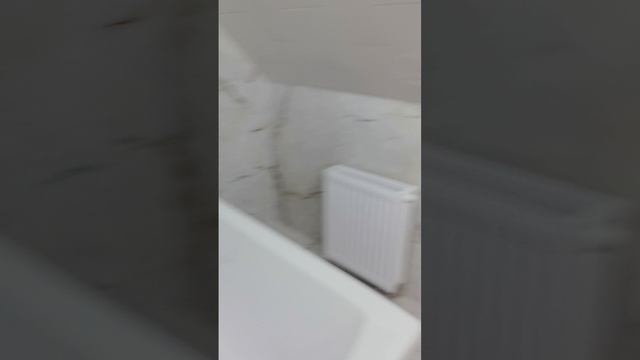 VID_20260807_124741.mp4
