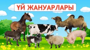 ҮЙ ЖАНУАРЛАРЫ. ҚАЗАҚША СӨЙЛЕП ҮЙРЕНЕМІЗ /ЖЫЛҚЫ. СИЫР. ТҮЙЕ. ҚОЙ. ЕШКІ. ШОШҚА. ЕСЕК/