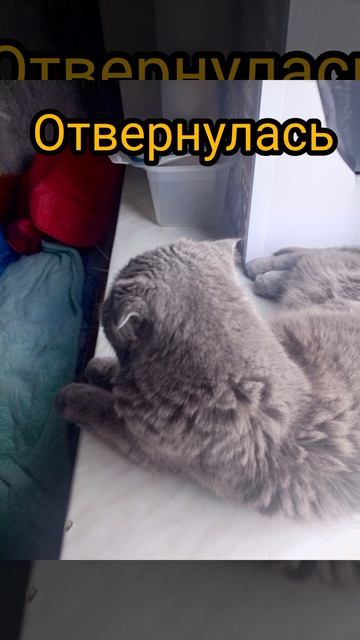 типичный день Каси