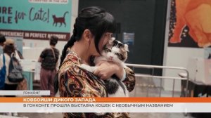 В Гонконге прошла выставка кошек с необычным названием