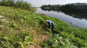 РЫБАЛКА НА ДОНКИ В АВГУСТЕ
