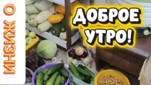 СЕЗОН ЗАГОТОВОК НАЧАЛСЯ. ВЕСТИ С УЧАСТКА МНОГОДЕТНЫХ.