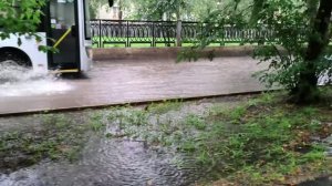 Когда “просто сходить в магазин” превращается в квест