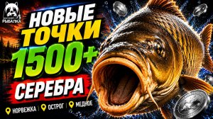 🤑 ТОП-3 ТОЧКИ ФАРМА и РАЗДАЧИ ТРОФОВ РР4 (07.08)! СВОДКА по ВОДОЕМАМ! НОРВЕЖКА • МЕДНОЕ • ОСТРОГ