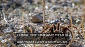 сила знания о мироздании 1