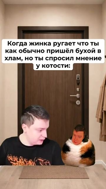 Котость