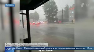 Женщина и ребенок погибли из-за упавших деревьев во время грозы в Смоленске.