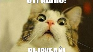 Роплакс
