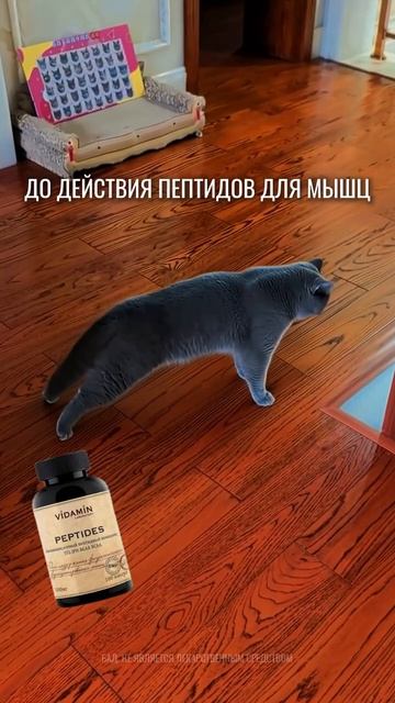 Здесь о здоровье, красоте и молодости

#vidaminextra #видамин #витамин #пептид #юмор #vidamin #бад #