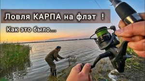 ЛОВИМ КАРПА НА ФЛЭТ! НАШ ПЕРВЫЙ ВЫЕЗД! #рыбалканаозере #ловлякарпа #фидер