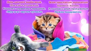 8 АВГУСТА.ВСЕМИРНЫЙ ДЕНЬ КОШКИ!ВЕСЁЛЫЙ КЛИП