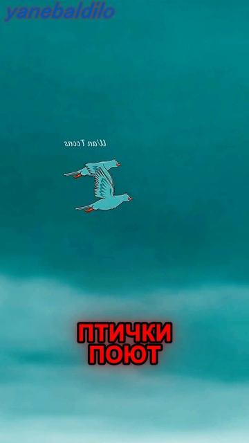 Настоящая дружба Спрунки (часть III)