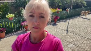 Урожай помидоров// как я готовлю рис// подлив с печенью//