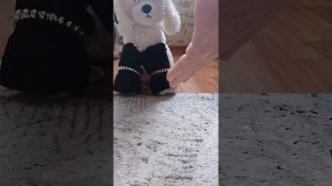 Знакомство с даной 😊