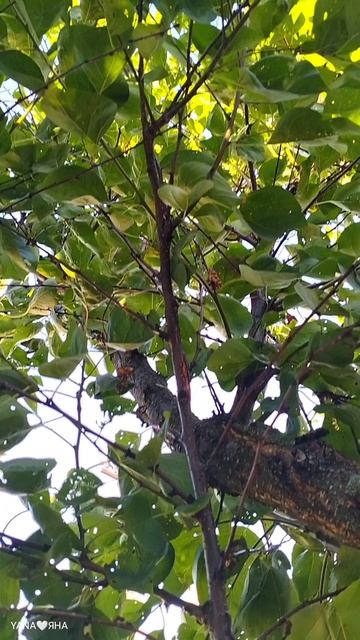 🤍#песнидлядуши