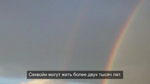 уникальный обзор реальности 8