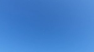 07.08.26 г. Андижанская порода голубей (2)