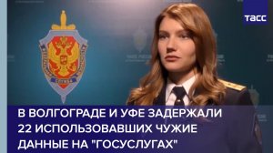В Волгограде и Уфе задержали 22 использовавших чужие данные на «Госуслугах»