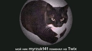 ищу команду в роблокс студио