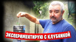 Продолжаю мостить двор, Эльвира продолжает заготовки / Вкусная индейка в казане