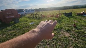 #439 Back at the Farm after Our Crimean Adventure! 20.07.2026