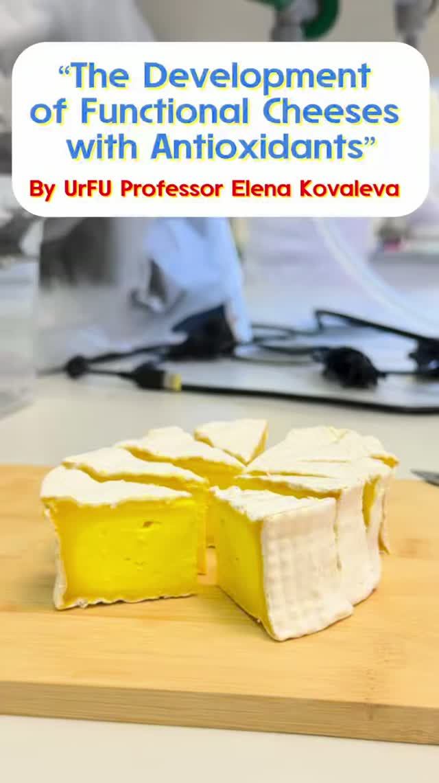 Learn More About Functional Cheeses With UrFU Prof. Elena Kovaleva!
