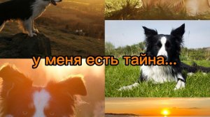 ГЛАВНАЯ ТАЙНА!!! | разговор| 100 пдп| НЕ ХЕЙТИМ!!!!! 💛🐾🥺