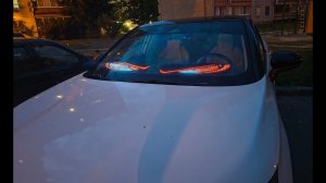 Cветодиодный гибкий экран для автомобиля и не только