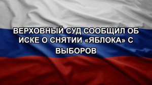 Верховный суд сообщил об иске о снятии «Яблока» с выборов