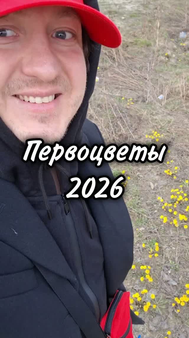 Первоцветы 2026