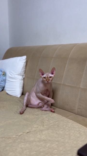 Кто смотрит?