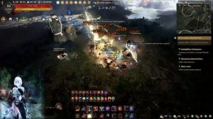 Гайд на миллиарды серебра в Black Desert для новичков