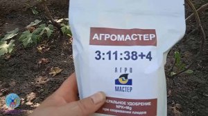 Выпуск 40. 5 августа 2026. Результаты прореживание ягоды и несколько слов об августовской подкормки