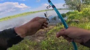 АЖ В ВОДУ ЗАБЕЖАЛ! ЭТУ РЫБАЛКУ ЖДАЛ ВСЮ ЗИМУ! ФРИКЦИОН ВИЗЖИТ, УДОЧКИ ЛЕТЯТ !