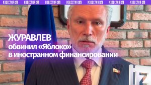 «Родина» обвинила «Яблоко» в иностранном финансировании и экстремизме