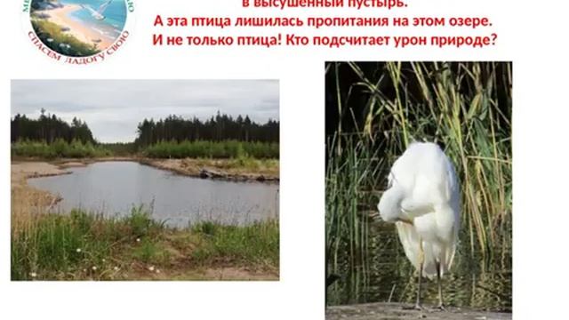 КПО «Рахья» и Ладожское озеро | Презентация проекта: схемы и экологические вопросы