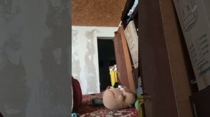 троллинг Пети