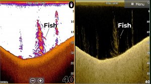 2D sonar