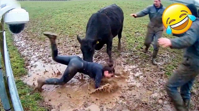 Приколы с животными🤗 Смешные видео про животных 🤗СМЕШНОЕ ВИДЕО😍 Наши любимые смешные животные