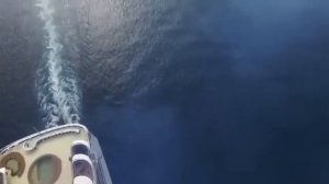 К какому событию готовятся Глобалисты!?