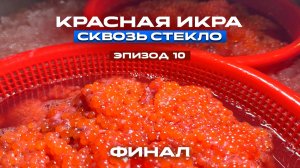 8 серия