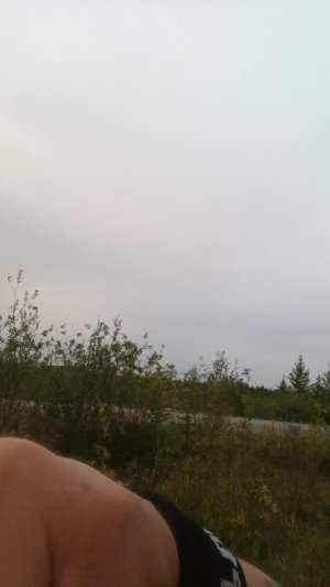 Гаражник Лайв