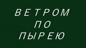 Сергей Знаменский - Ветром по пырею