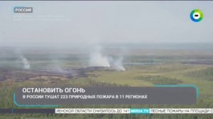 ТК МИР_Лесные пожары в регионах РФ_ Видео ФБУ «Авиалесоохраны«_07.08.2026