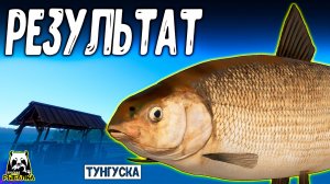Будь во всём внимании — и тогда достигнешь результата в #рр4